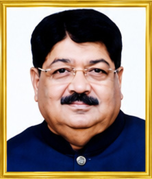 Sri Parimal D. Nathwani
